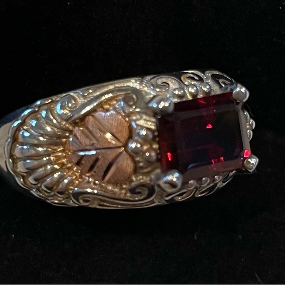 FINAL PRICE Black Hills 12k Garnet Ring - Picture 5 of 6